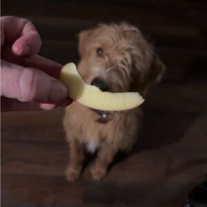 Meet your Posher, Kaitlyn